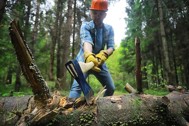 Mannelijke arbeider met een bijl die een boom in het bos hakt