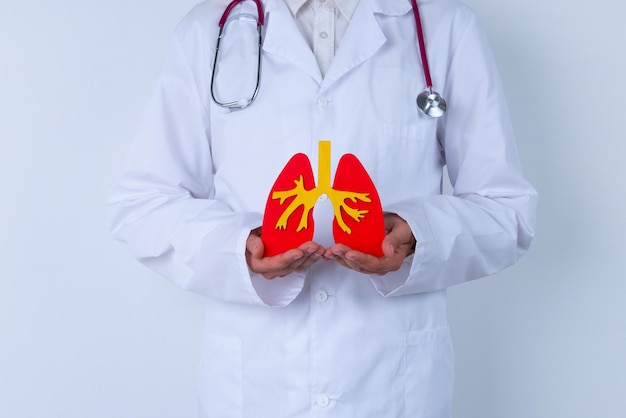 Mannelijke arts met een stethoscoop houdt mockup longen Hulp en zorg concept
