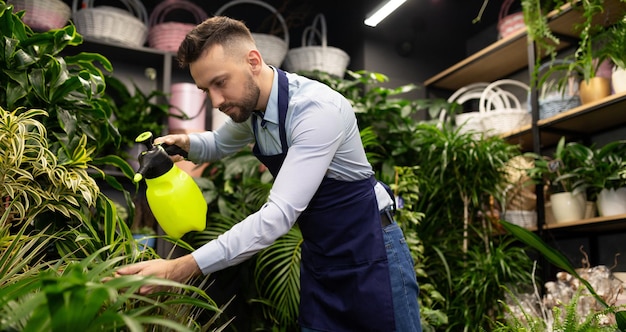 mannelijke bloemist die voor groene potplanten in de winkel zorgt.