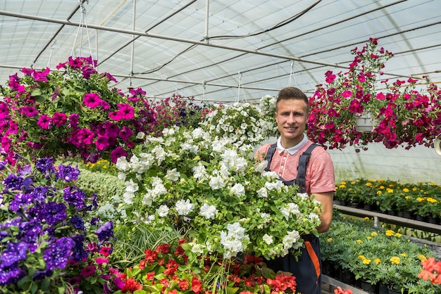 Mannelijke bloemist werkt met bloeiende bloemen en andere planten in een broeikas