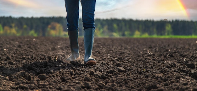 Mannelijke boer in het veld controleert de bodem Selectieve focus