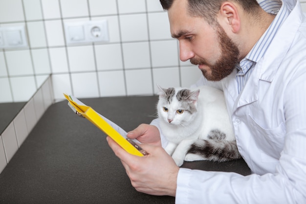 Mannelijke dierenarts met een kat in zijn kliniek