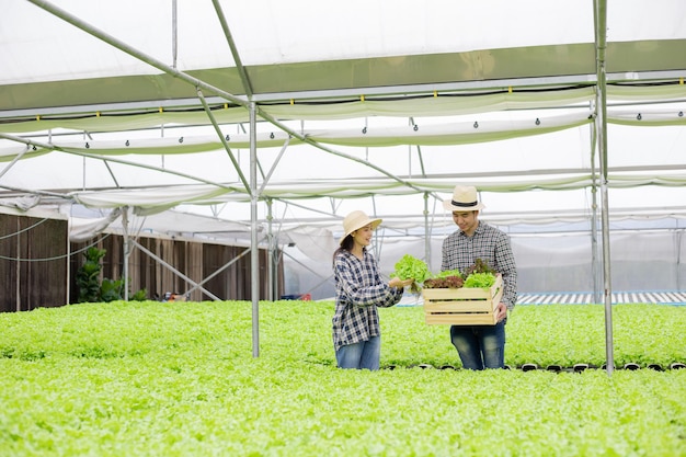 Mannelijke en vrouwelijke tuinders verzamelen biologische groenten die zijn geoogst van de hydroponics-groenteboerderij, in een houten mand gestopt die hij met een glimlach op de groene groente op de voorgrond draagt.
