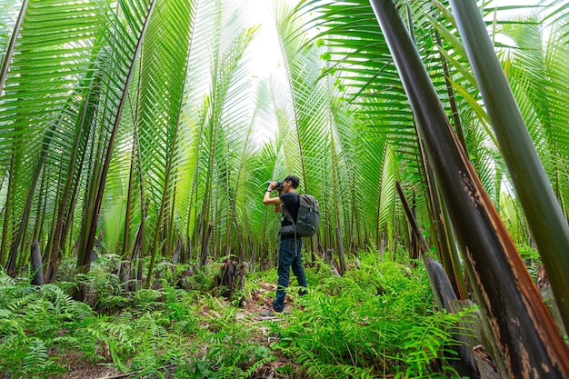 Mannelijke fotograaf die foto's maakt in het bos, natuurreisfotograaf in tropische jungle, groep