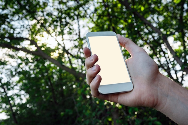 Mannelijke hand houdt witte smartphone vast over wazig beeld van groene bosachtergrond