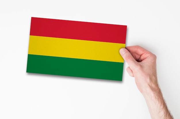 Mannelijke hand met de vlag van Bolivia