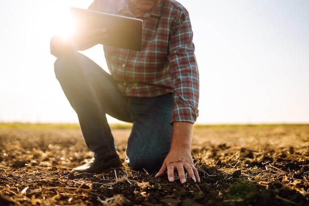 Mannelijke handen raken de grond op het veld Deskundige hand van boer die bodemgezondheid controleert Ecologisch concept