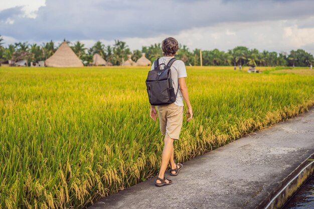Mannelijke toerist met een rugzak gaat op het rijstveld