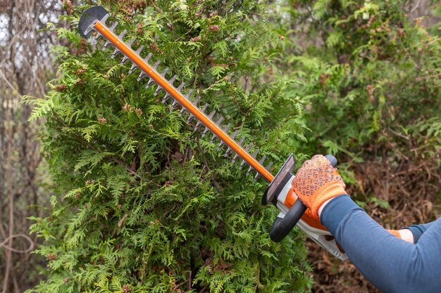 Foto mannelijke tuinman gekleed in overall werkt met professionele tuingereedschap in de achtertuin close-up