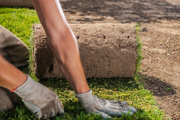 Mannen die natuurgrasmatten van de rol installeren