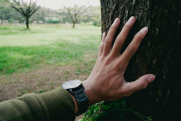 Mannenhand aanraken boomstam close-up Schors hout Zorg voor het milieu Ecologie concept