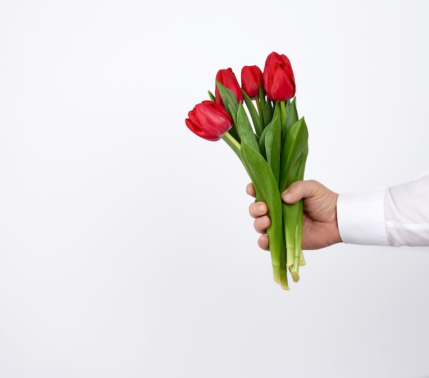 Mannenhand in een wit overhemd houdt een boeket van rood bloeiende tulpen