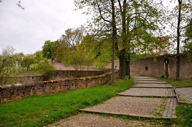 Mannenklooster op een Frauenberg in Fulda Hessen Duitsland