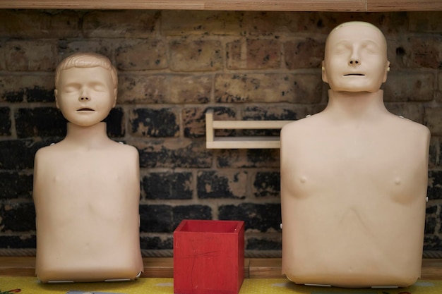 Mannequin for first aid training. Mannequin on a brick background.