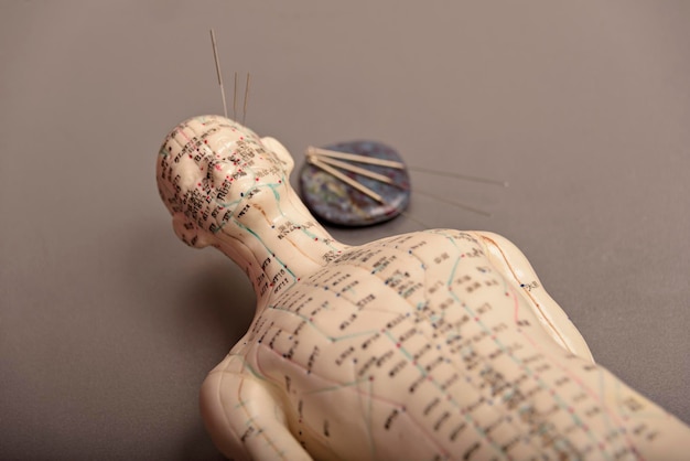 Mannequin with acupuncture points and meridians