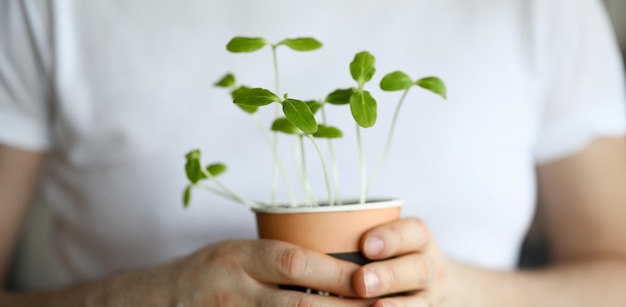 Foto mannetje houdt pot in de hand met groene scheuten close-up