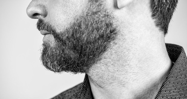 Mans face cropped view with bearded skin and facial hair grey background skincare