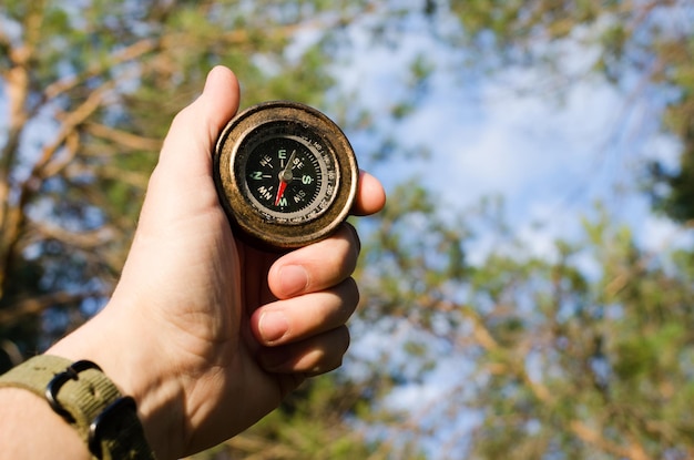 Mans hand holds compass against blue sky and coniferous forest on Sunny day