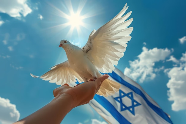 Photo a mans hand reaches out to a white dove against the background of the sky