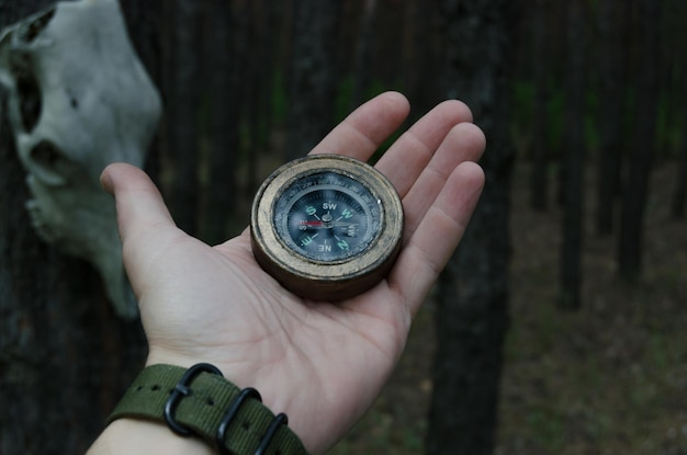 Mans hand with a compass against a pine forest and a horse skull hanging from treeIn the evening