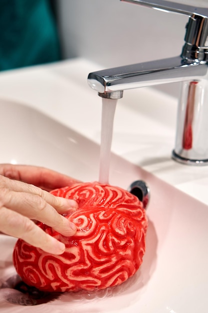 A mans hands washing a red plastic brain under an open faucet