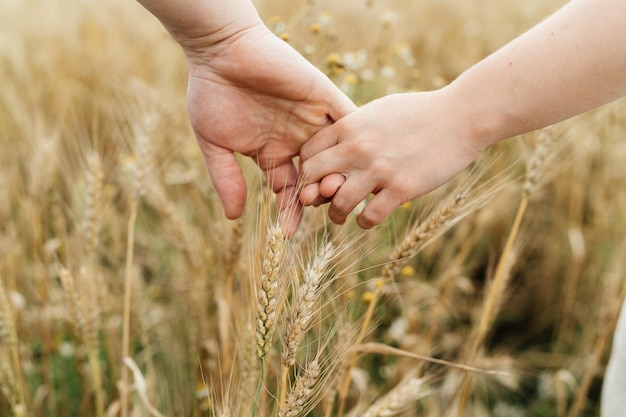 Mans and womans hand couple walking by hand wheat field