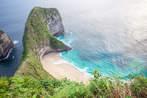 Manta bay o kelingking beach sull'isola di nusa penida, bali, indonesia