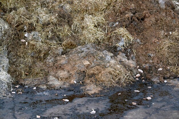 manure detail