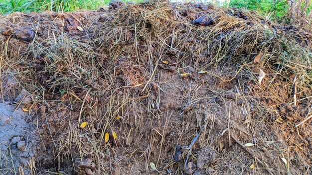 manure display