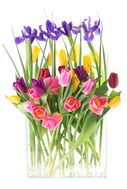 Many beautiful colorful tulips with leaves in a glass vase isolated on transparent background. Photo with fresh spring flowers for any festive design