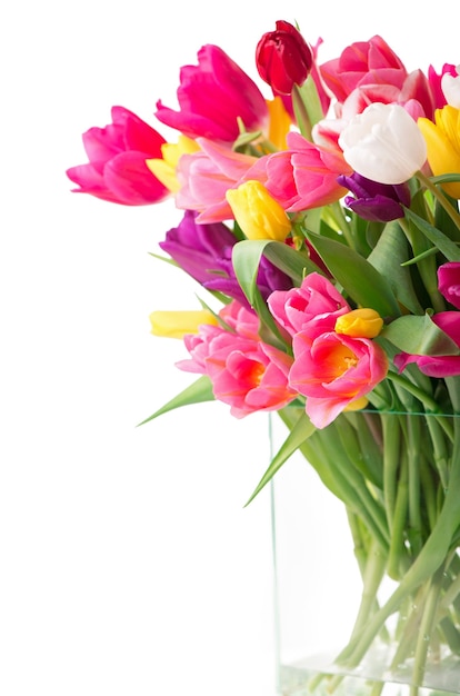 Многие красивые красочные тюльпаны с листьями в стеклянной вазе, изолированные на прозрачном фоне. Фото со свежими весенними цветами для любого праздничного оформления