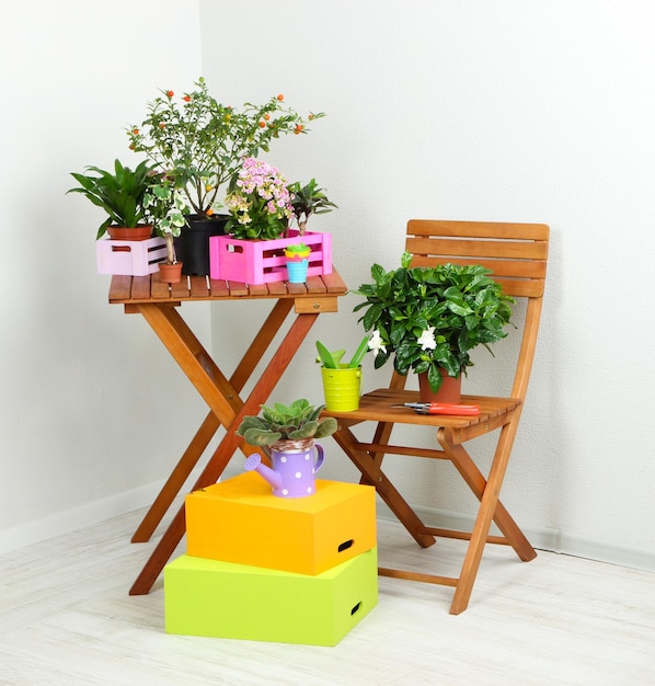 Many beautiful flowers on table and chair in room