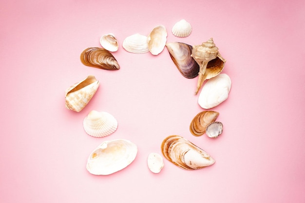Many beautiful sea shells on pink background flat lay with space for text