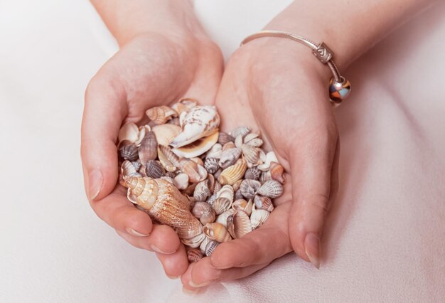 Many beautiful seashells in the hands of the girl