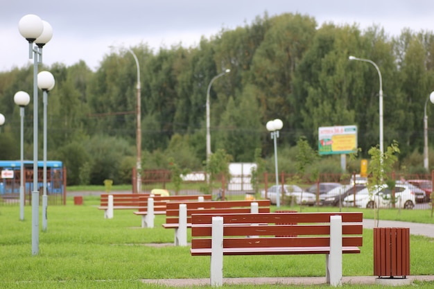 Many bench in park