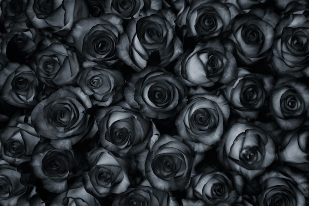 많은 검은 장미는 상위 뷰 빈티지 스타일 배경입니다