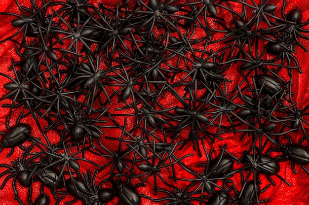 Many black spider and beetle on red. halloween background