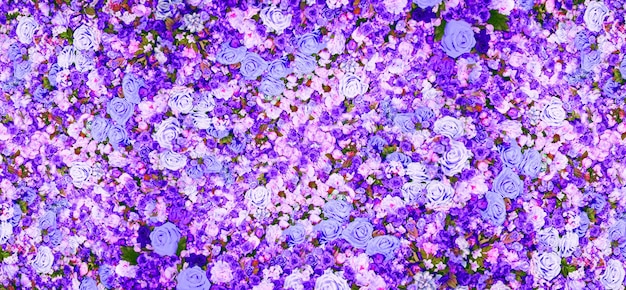 製品のプレゼンテーションのための多くの開花する花のリラック色の背景