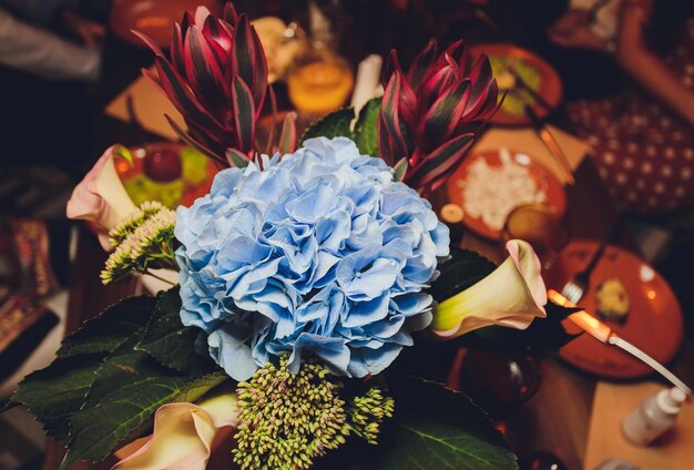 庭の花の背景に生えている多くの青いアジサイの花