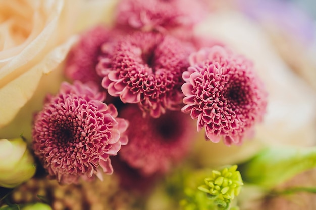 庭の花の背景に生えている多くの青いアジサイの花