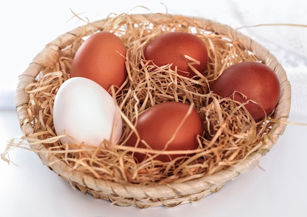 Many brown eggs and one white one in the basket