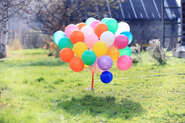 many colorful balloons nature landscape