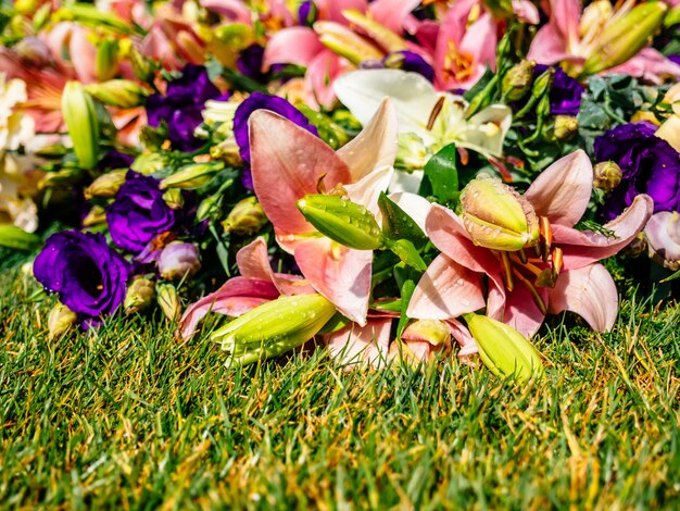 Foto molti fiori colorati si trovano sull'erba verde.