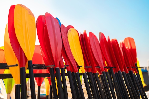 Many colorful red yellow paddleboard sup paddles for kayak on the beach rent of equipment for swimming in the ocean or lake in summer