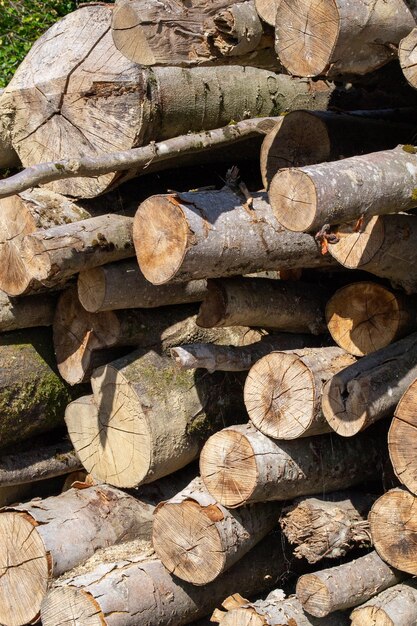 Many cut tree trunks stacked on top of each other