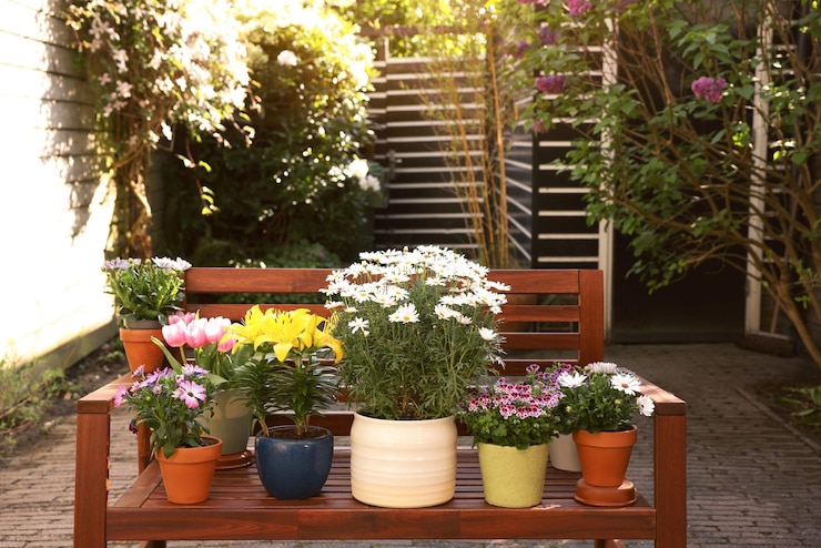 Photo many different beautiful blooming plants in flowerpots on wooden bench outdoors