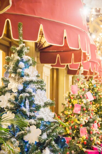 Many different fir trees in the malldecoration of a restaurant