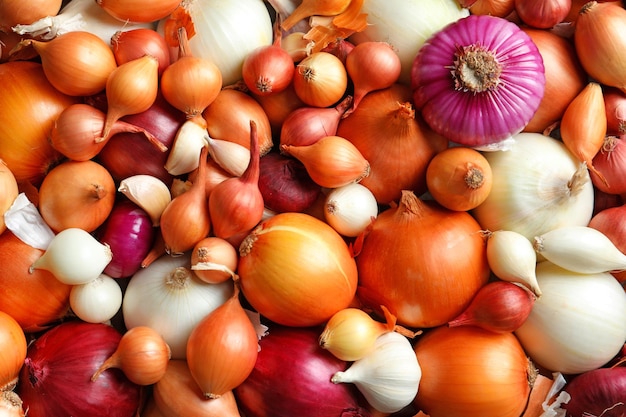 Many different onions closeup