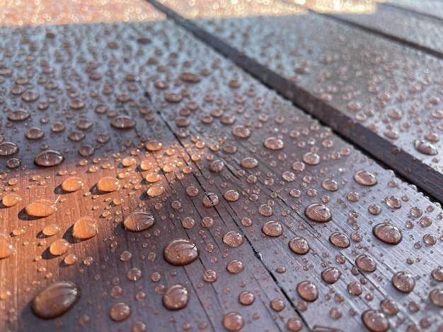 Many drops of water on a dark tree