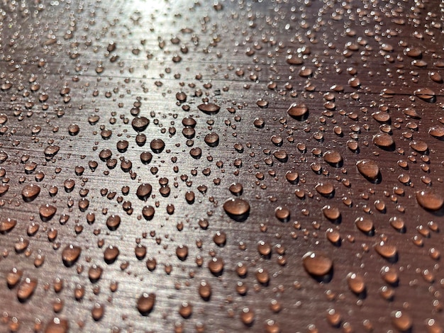 Many drops of water on a dark tree